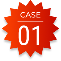 CASE01