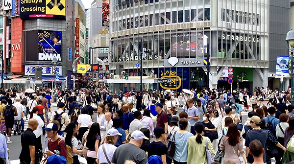 公共・街頭防犯カメラ